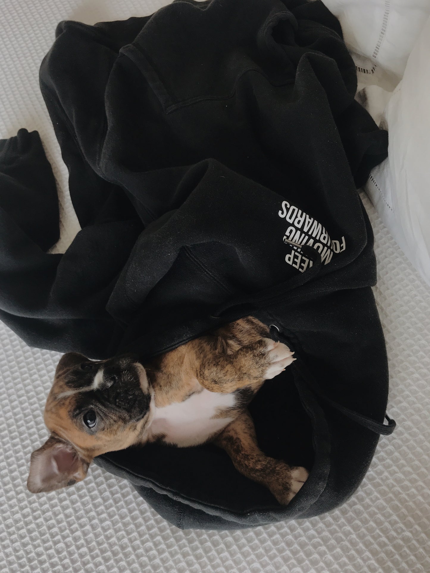 MANTRA HOODIE